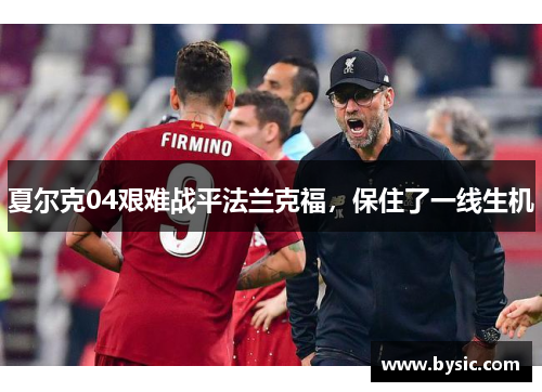 夏尔克04艰难战平法兰克福，保住了一线生机