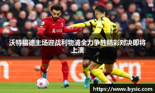BOB半岛官方网站