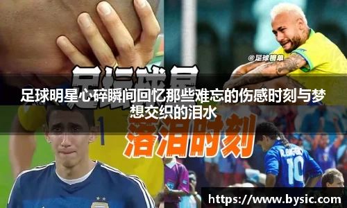 BOB半岛登录入口