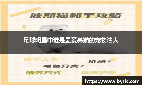 BOB半岛官方网站